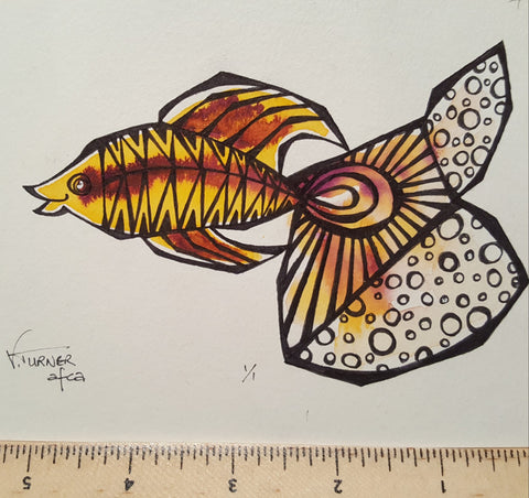 Fundy Fish