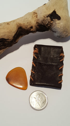 Guitar Pick and Case