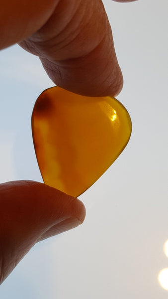 Guitar Pick and Case