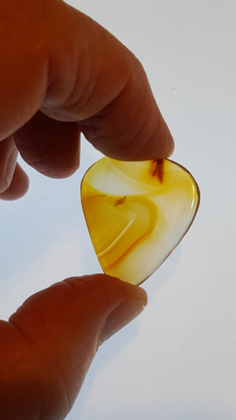 Guitar Pick and Case