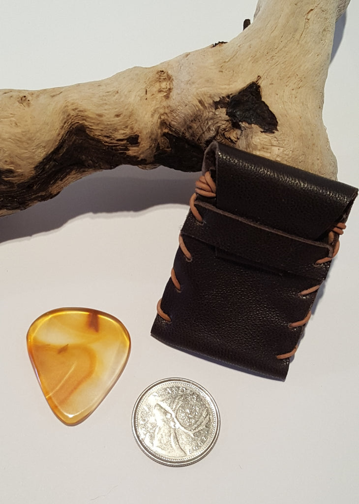 Guitar Pick and Case