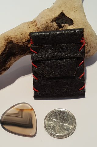 Guitar Pick and Case