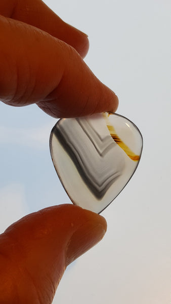 Guitar Pick and Case