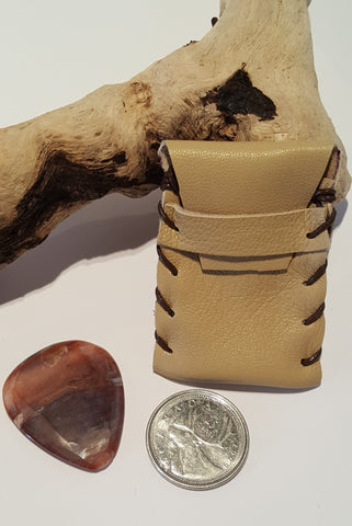 Guitar Pick and Case