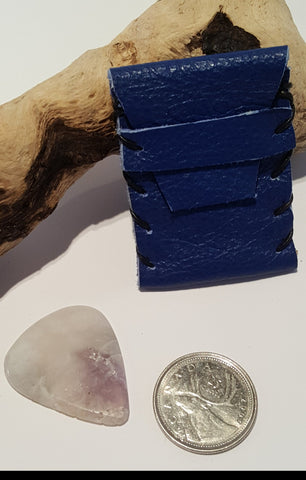 Guitar Pick and Case