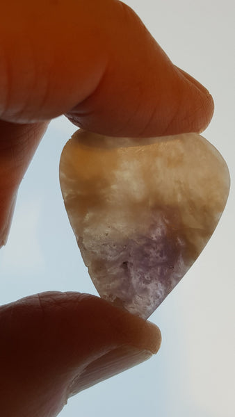 Guitar Pick and Case