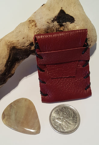 Guitar Pick and Case