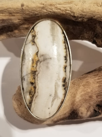 Banded Beauty