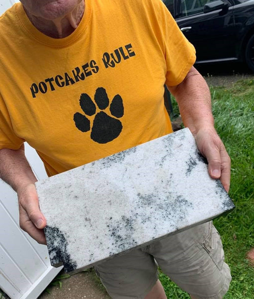 Granite Ice - Dark Green Speckles in White