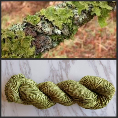 Sedimentary DK Yarn - Lichen