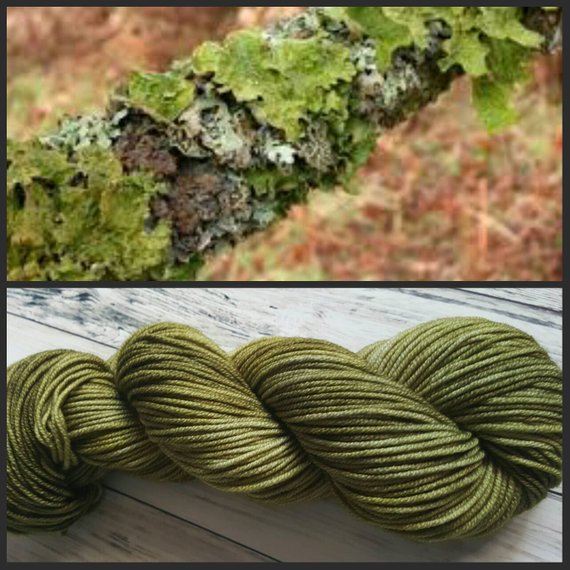 Metamorphic Worsted Weight Yarn - Lichen