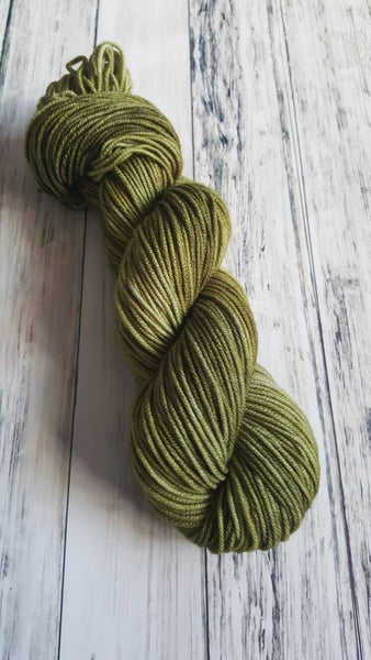 Metamorphic Worsted Weight Yarn - Lichen