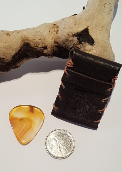 Guitar Pick and Case